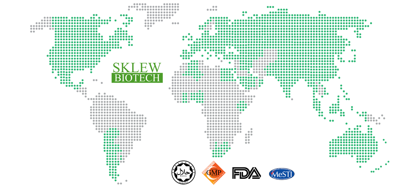 world-map