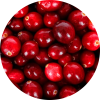 Cranberry